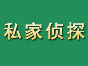 天元市私家正规侦探